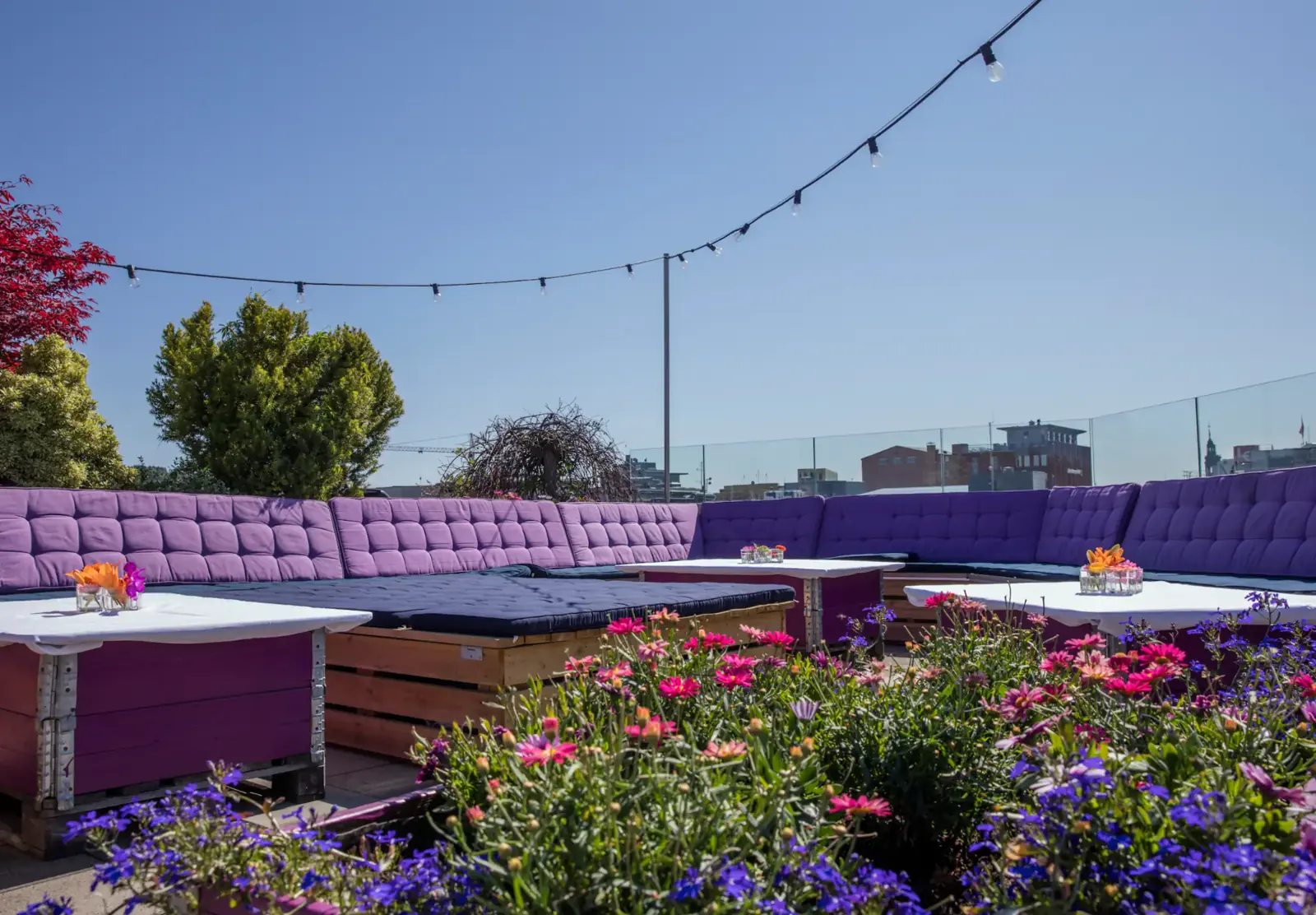 RoofGarden — bilde 20