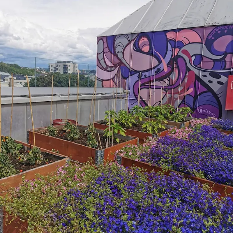 RoofGarden — bilde 5